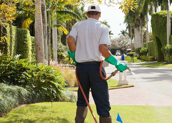 About Hayward MN Pest Control